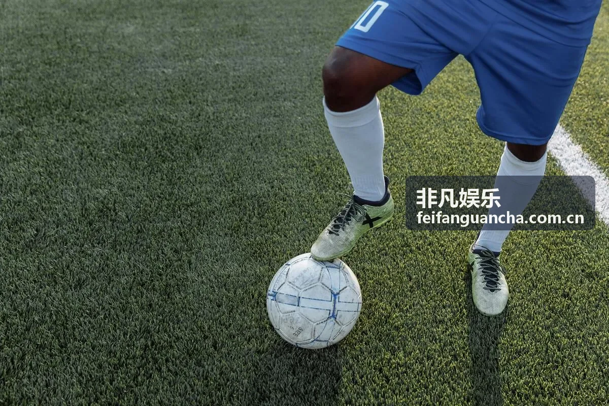 非凡娱乐综艺追踪
